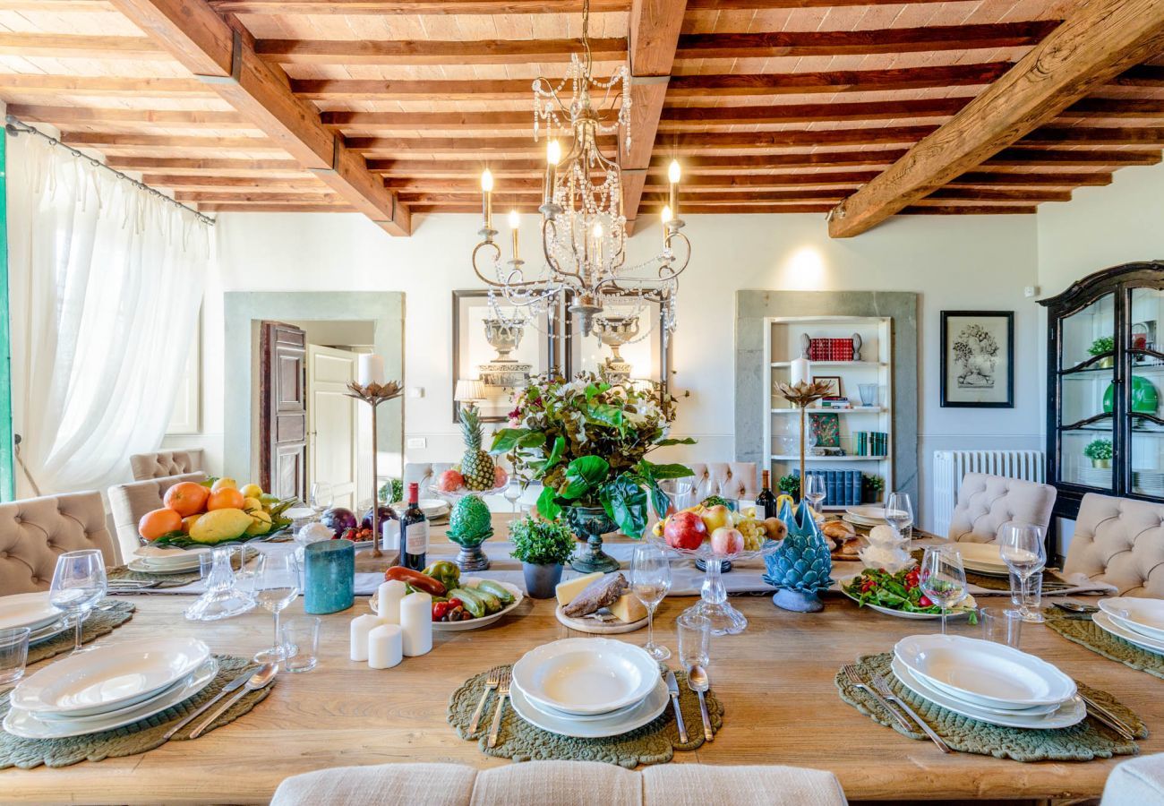 Villa a Lucca - RENAISSANCE WINERY VILLA AMONG THE VINEYARDS, 9 BEDROOMS, 7 BATHS, WIFI, AIR CON