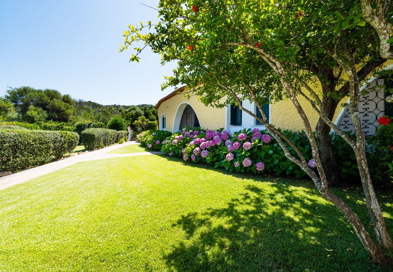 Appartamento a Baia Sardinia -  Rotonda Cottage 34 - flat moderno con piscina a Baja Sardinia 