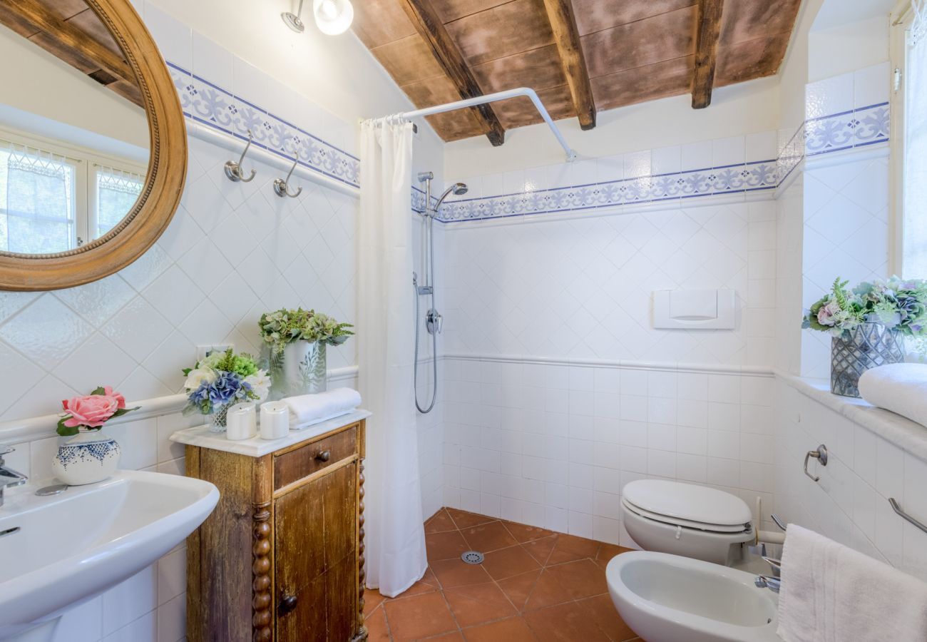 Villa a Pieve di Compito - Villa Coccinelle