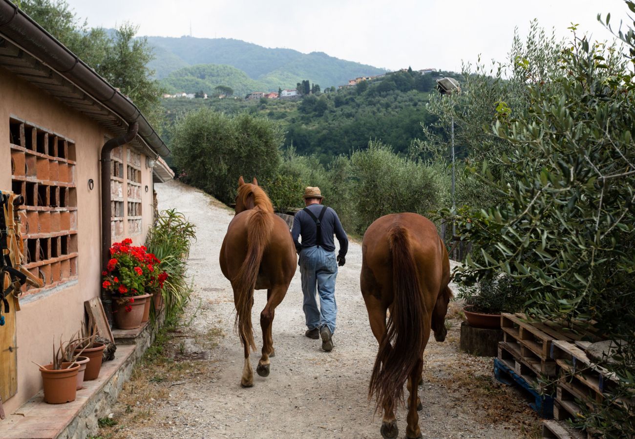 Villa a Lucca - La Macina Farmhouse