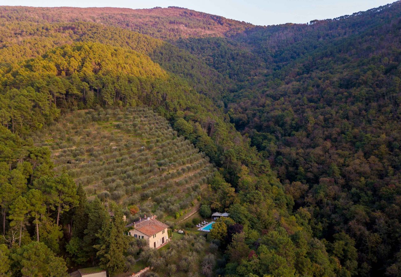 Villa a Santa Maria del giudice - Casa Nel Bosco, an extraordinary Tuscan Retreat with private pool