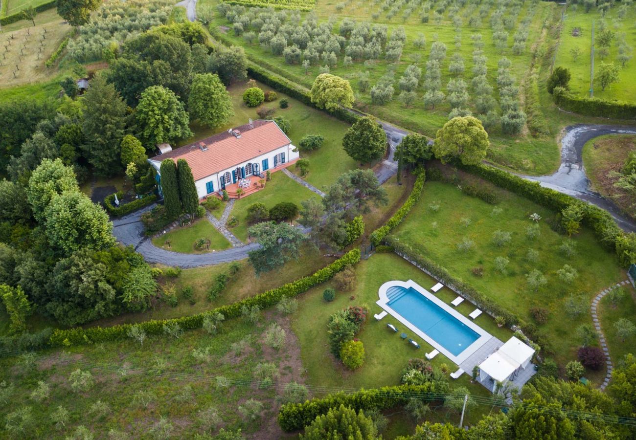 Villa a Capannori - VILLA MARCELLA an Happy Retreat with Magnificent Pool in Marlia by Lucca