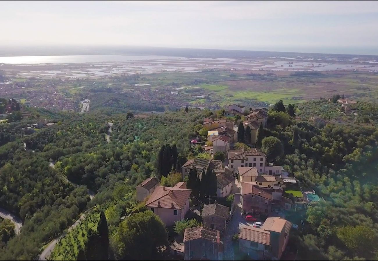 Villa a Pieve a Elici - Villa Riviera