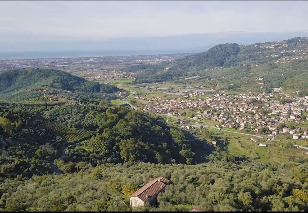 Villa a Pieve a Elici - Villa Riviera