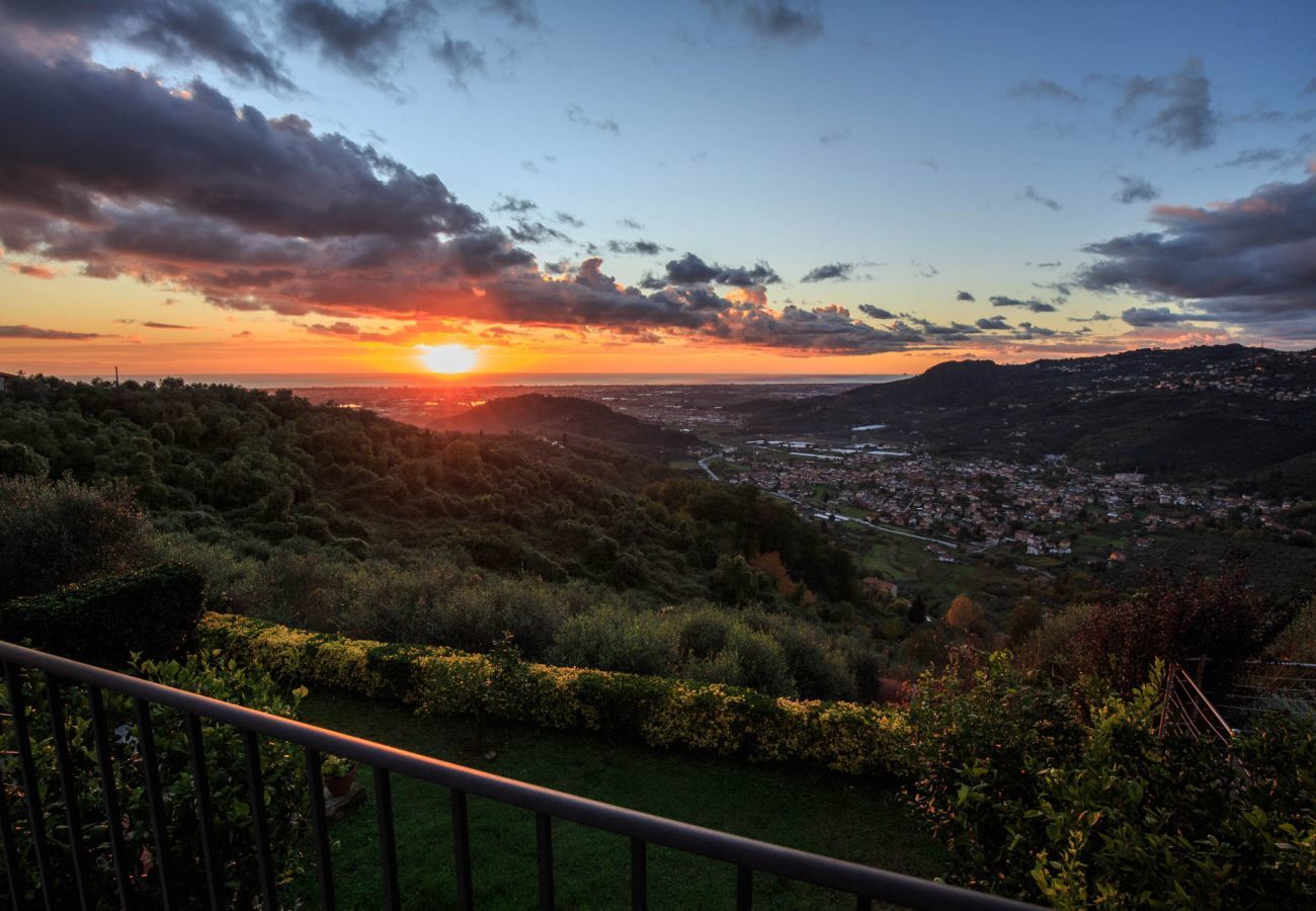 Villa a Pieve a Elici - Villa Riviera
