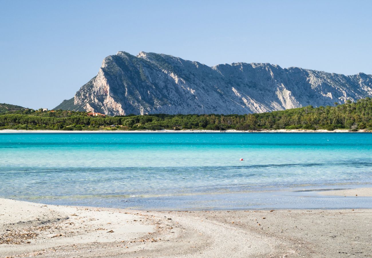 Villetta a San Teodoro - Villetta Zefiro - residenza moderna a Lu Impostu