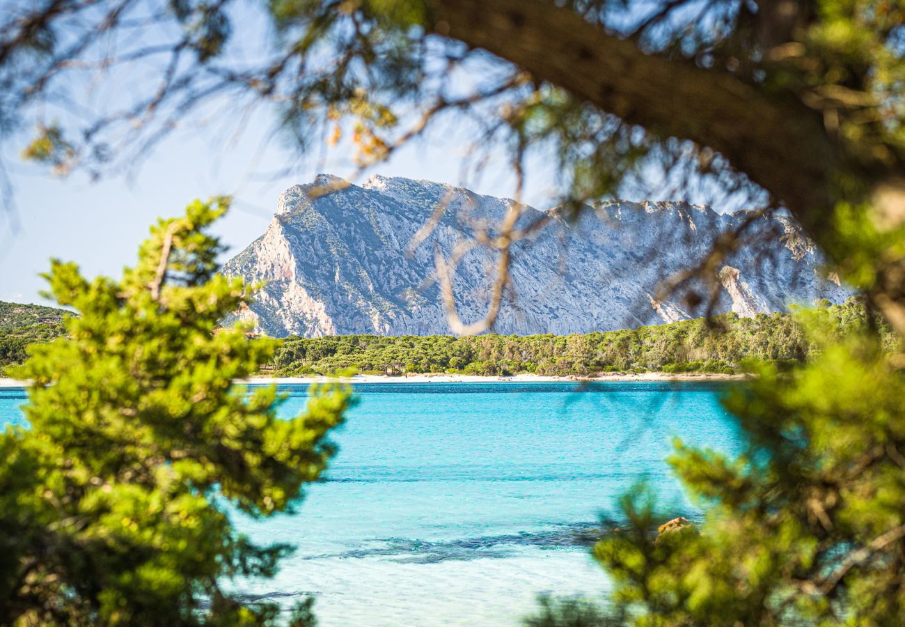Villetta a San Teodoro - Villetta Zefiro - residenza moderna a Lu Impostu