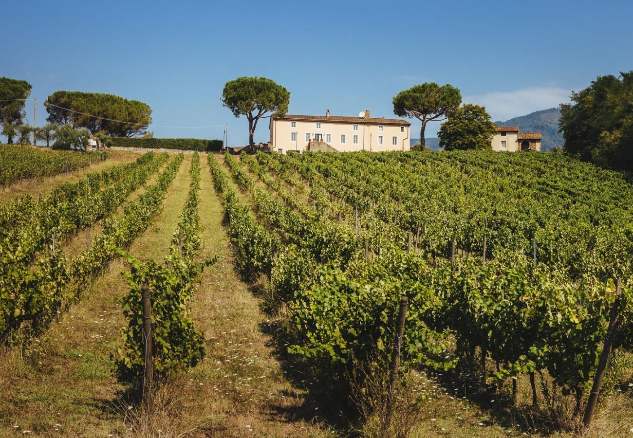 Villa a Capannori - FATTORIA CAMIGLIANO Luxury Farmhouse with Pool inside a Wine Estate