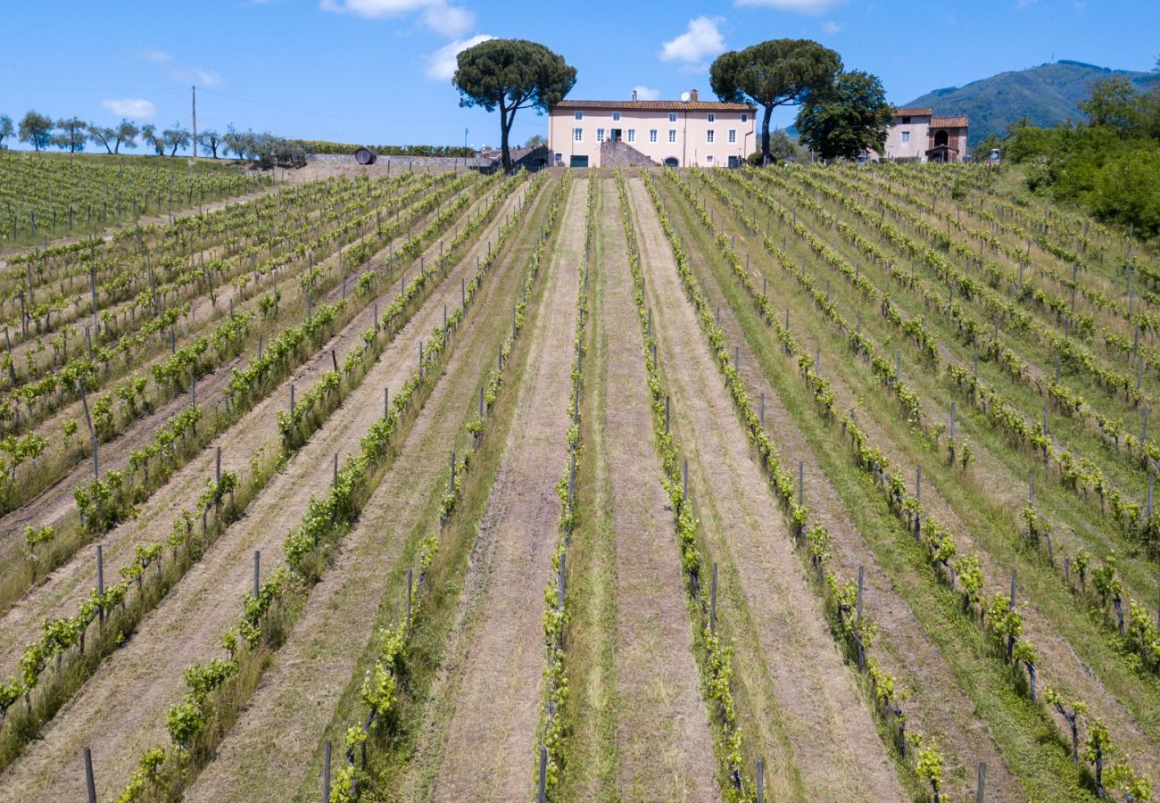 Villa a Capannori - FATTORIA CAMIGLIANO Luxury Farmhouse with Pool inside a Wine Estate