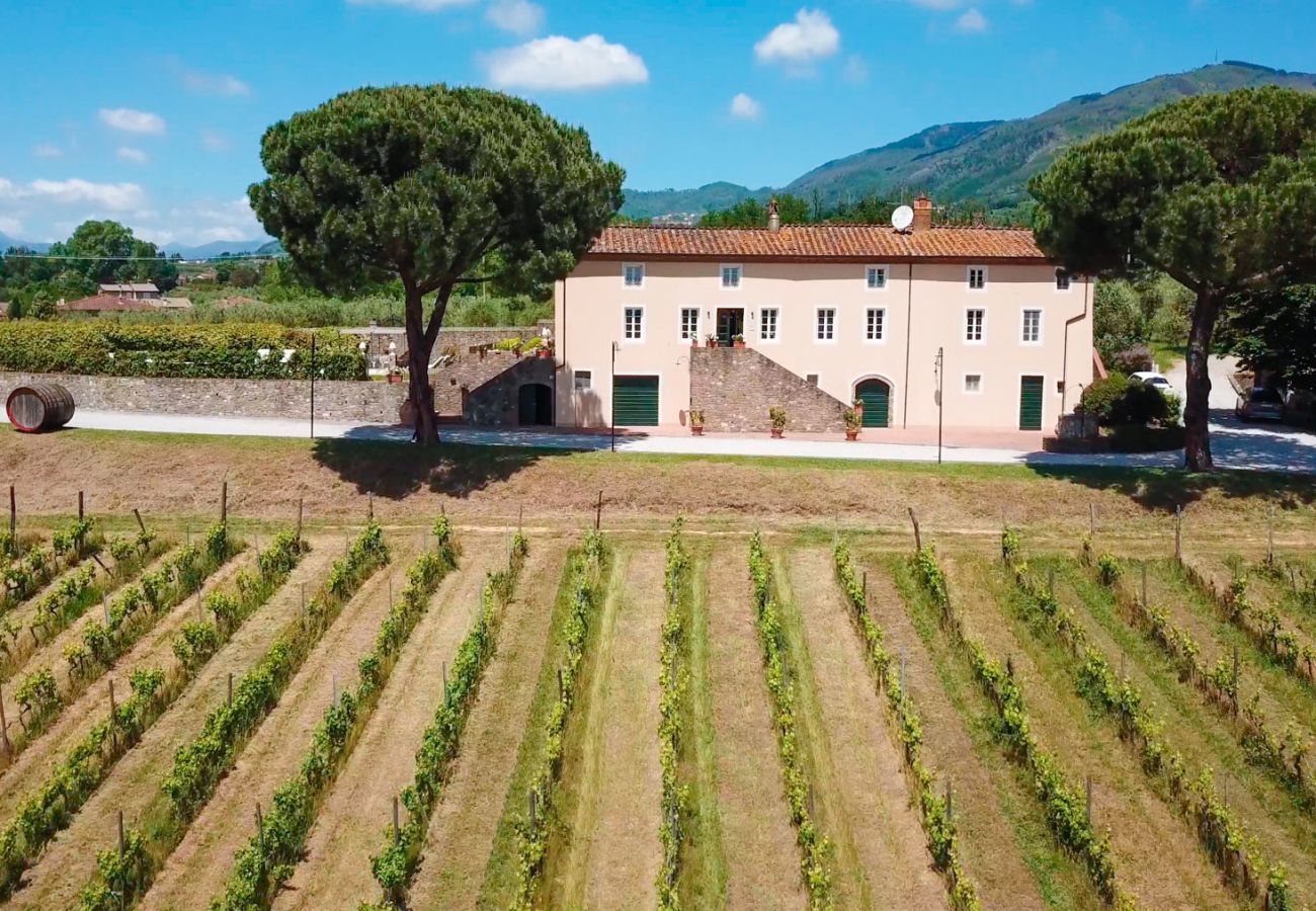 Villa a Capannori - FATTORIA CAMIGLIANO Luxury Farmhouse with Pool inside a Wine Estate