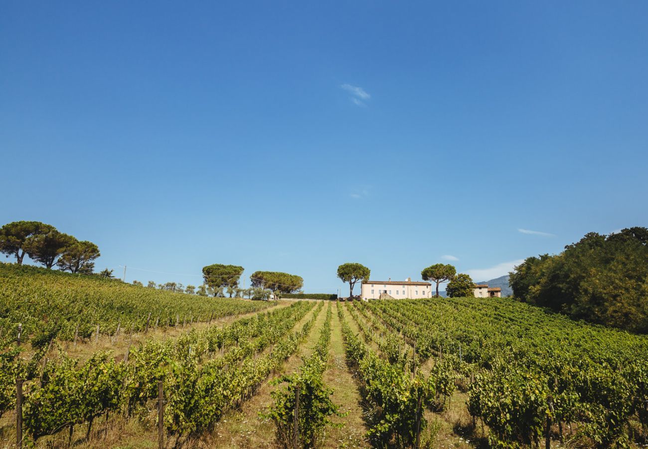 Villa a Capannori - FATTORIA CAMIGLIANO Luxury Farmhouse with Pool inside a Wine Estate