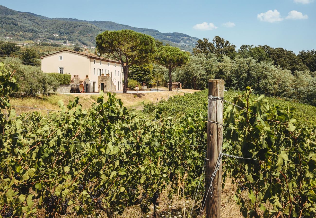 Villa a Capannori - FATTORIA CAMIGLIANO Luxury Farmhouse with Pool inside a Wine Estate