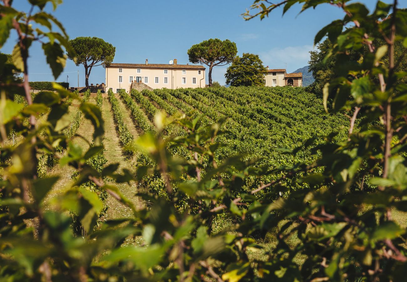 Villa a Capannori - FATTORIA CAMIGLIANO Luxury Farmhouse with Pool inside a Wine Estate