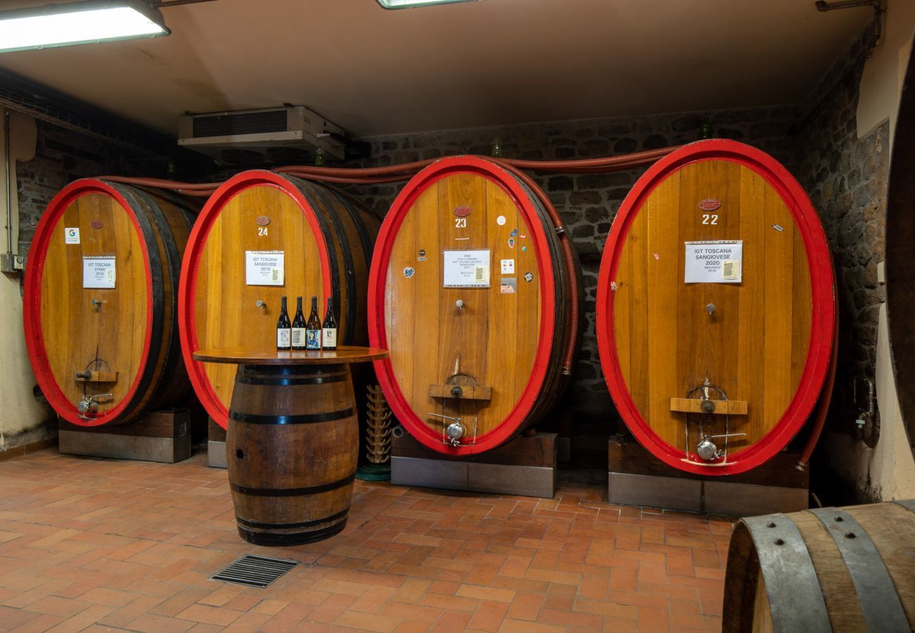 Villa a Capannori - Fattoria Camigliano Wine Estate