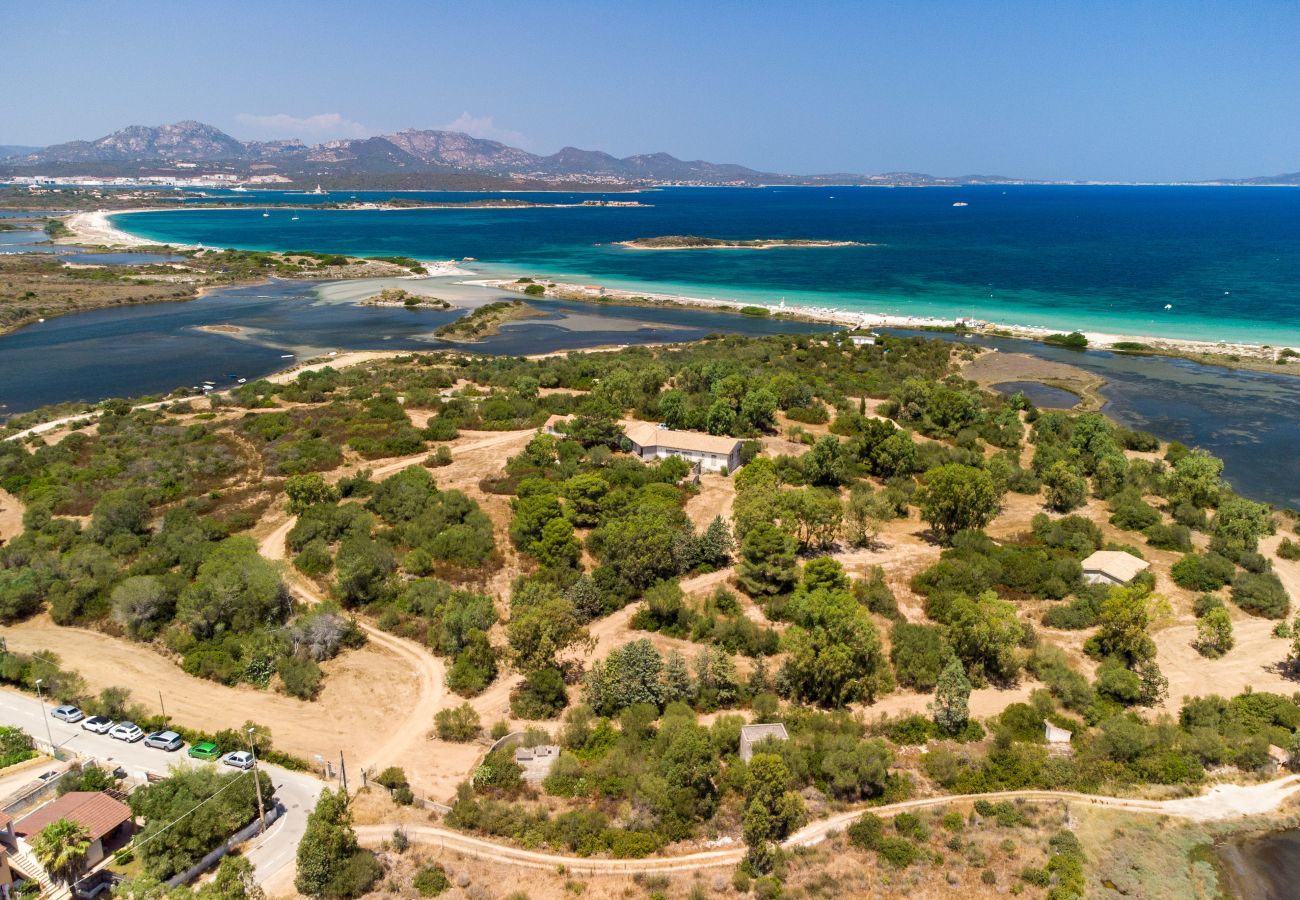 Appartamento a Olbia - Myrsine Viola - moderno flat con piscina, spiaggia