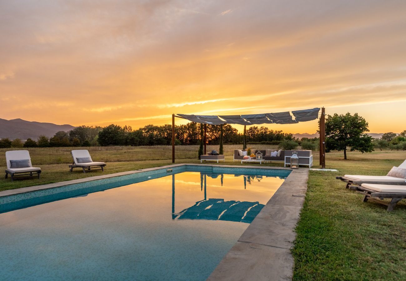 Villa a Orentano - Il Conte Farmhouse Retreat