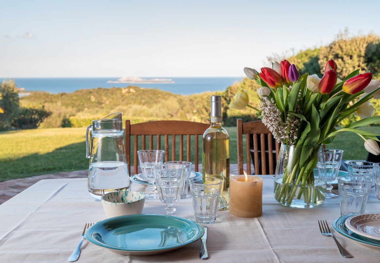 Villa a San Pantaleo - Villa Linda - tipico stazzo con idromassaggio e vista panoramica