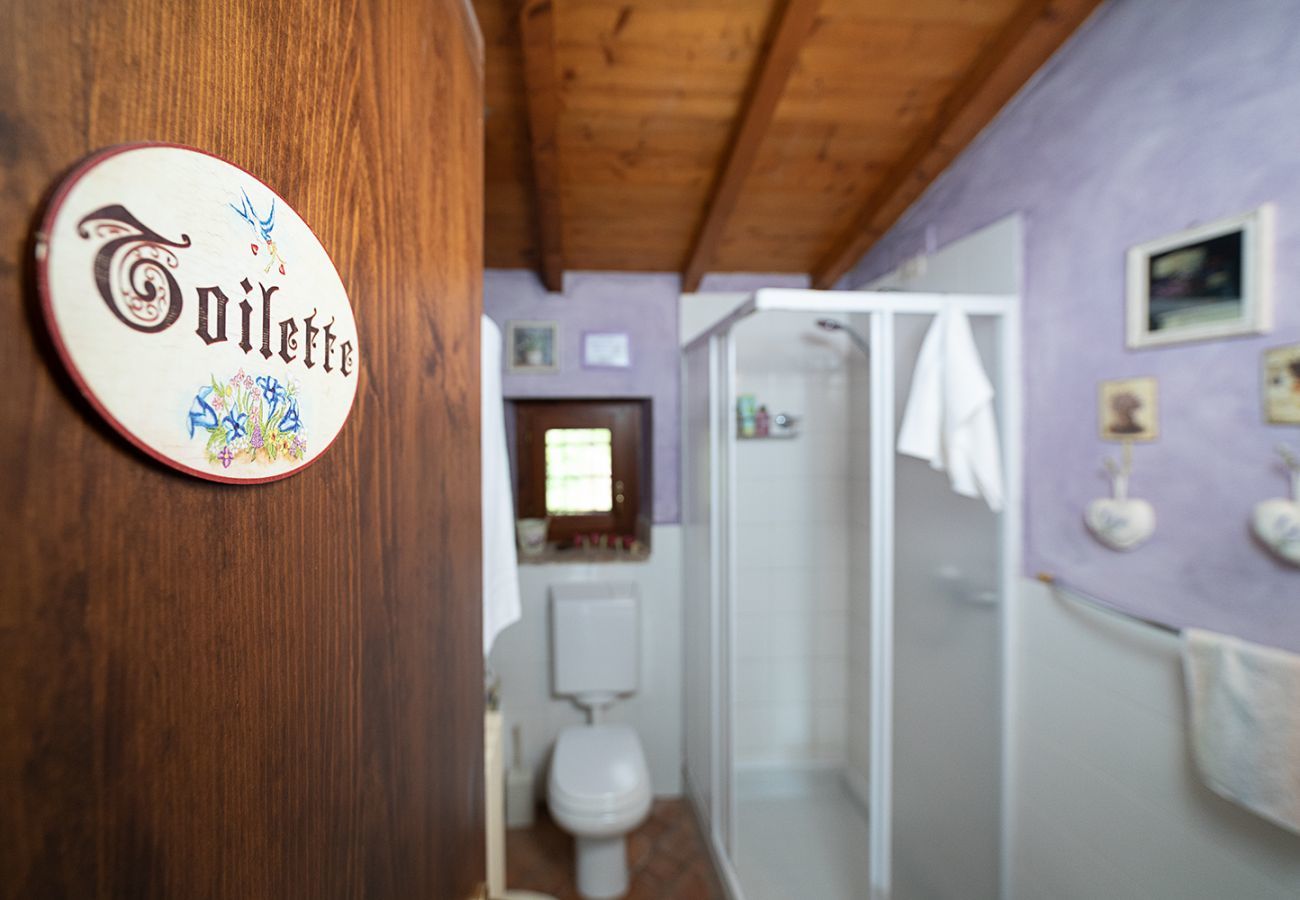 Casa a schiera a Lazise - COUNTRYHOUSE NOCINO 1