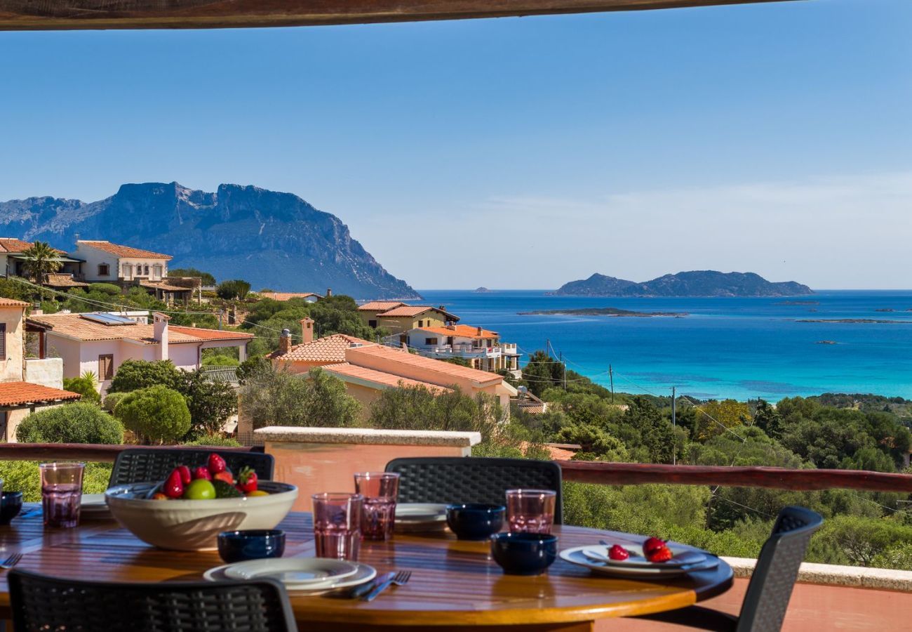 Villa a Olbia - Villa Majra