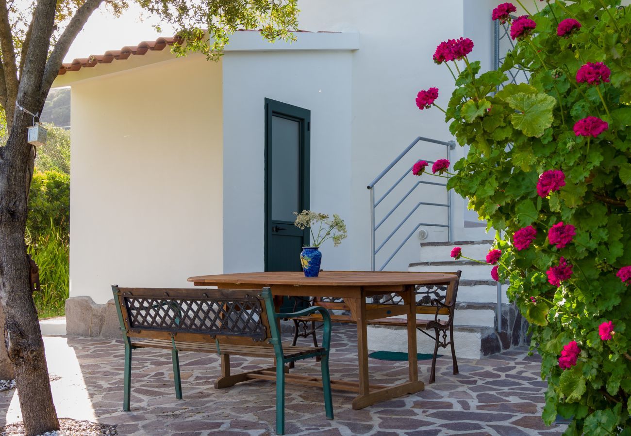 Casa rurale a Olbia - Country Lodge