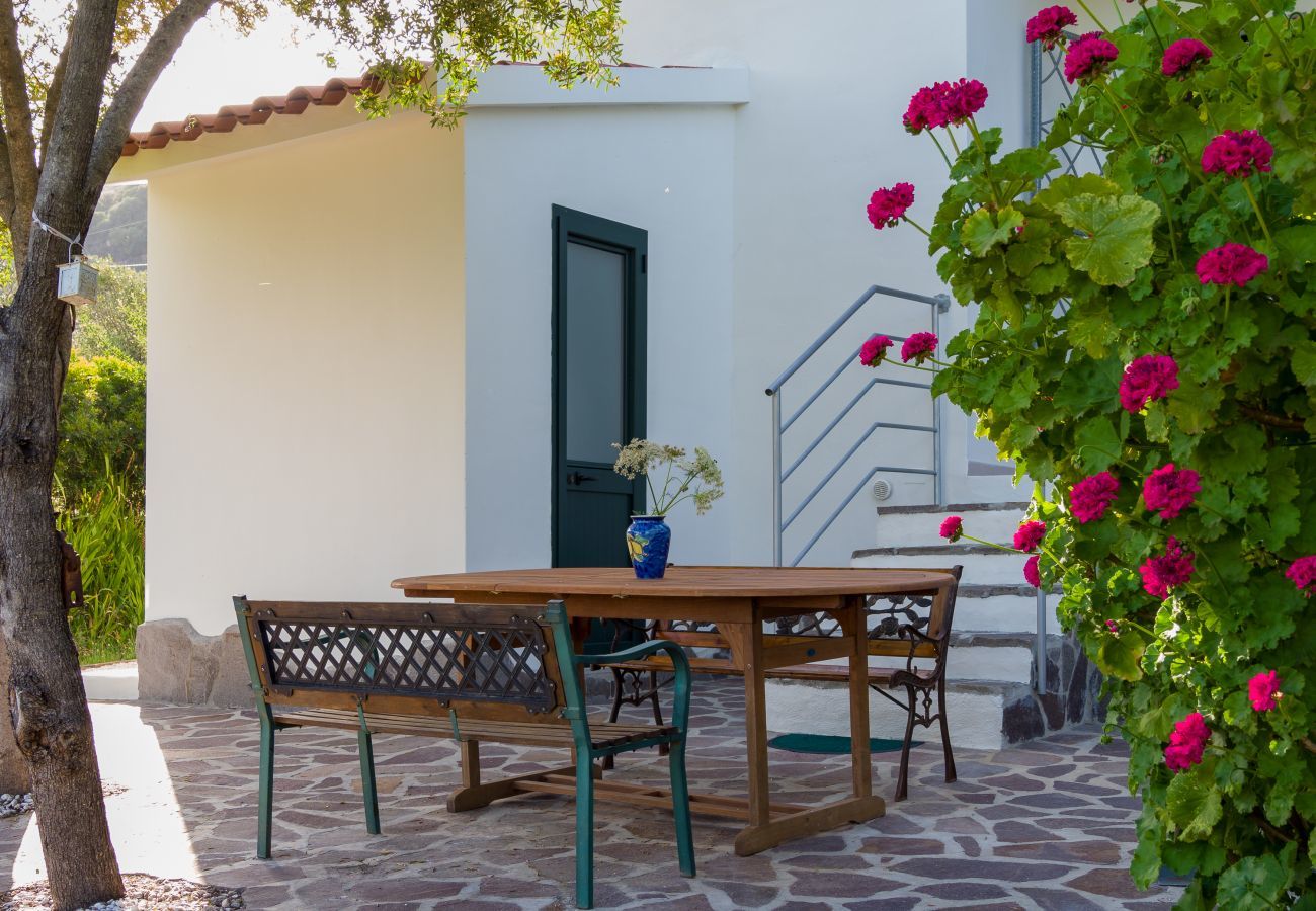 Casa rurale a Olbia - Country Lodge - relax e natura vicino a P.Rotondo