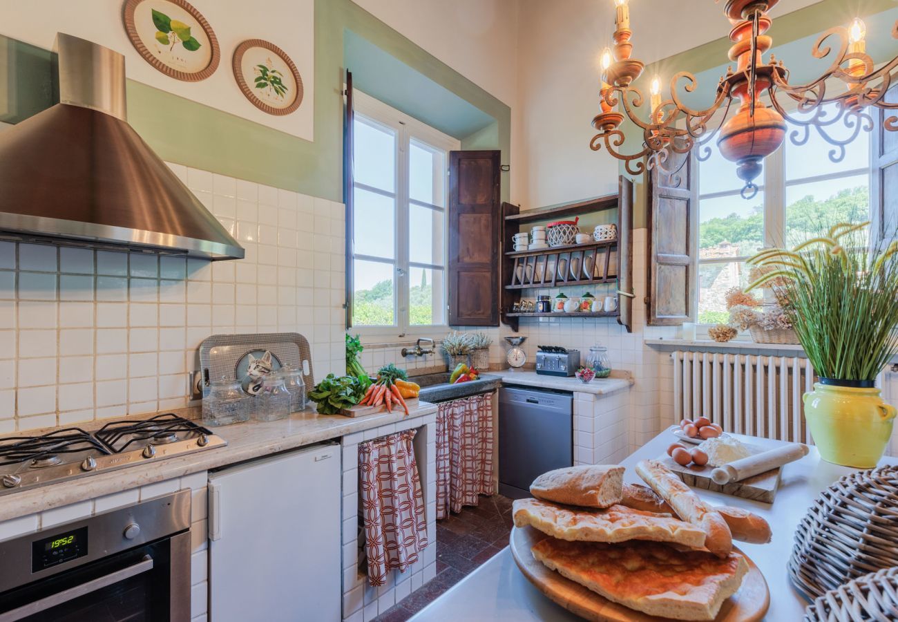 Villa a Lucca - Villa Borbone - perched on the Lucca Hills