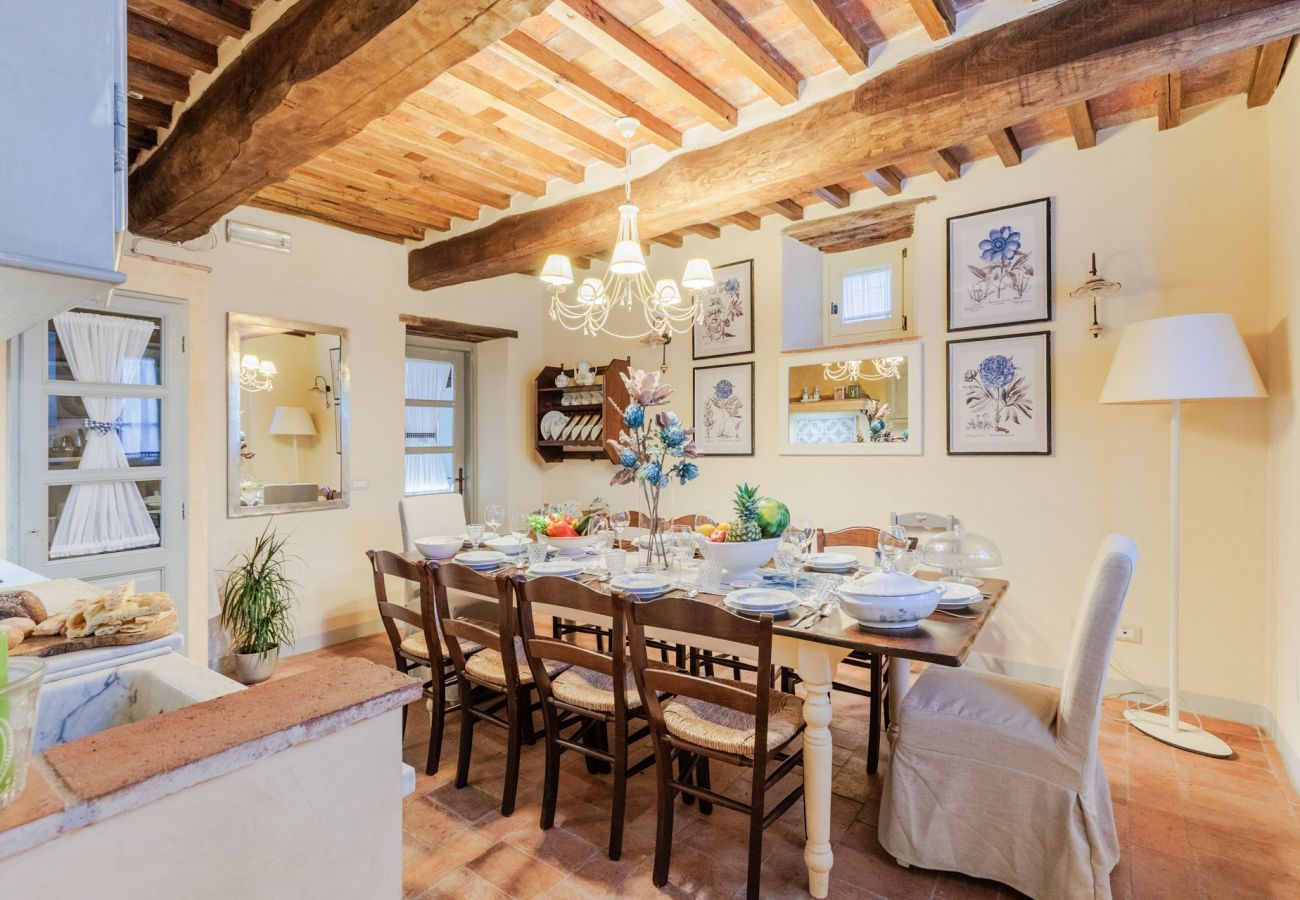 Villa a Pieve di Compito - Dimora delle Camelie, a traditional stylish stone farmhouse with garden on the hills of Compitese between Lucca and Pisa