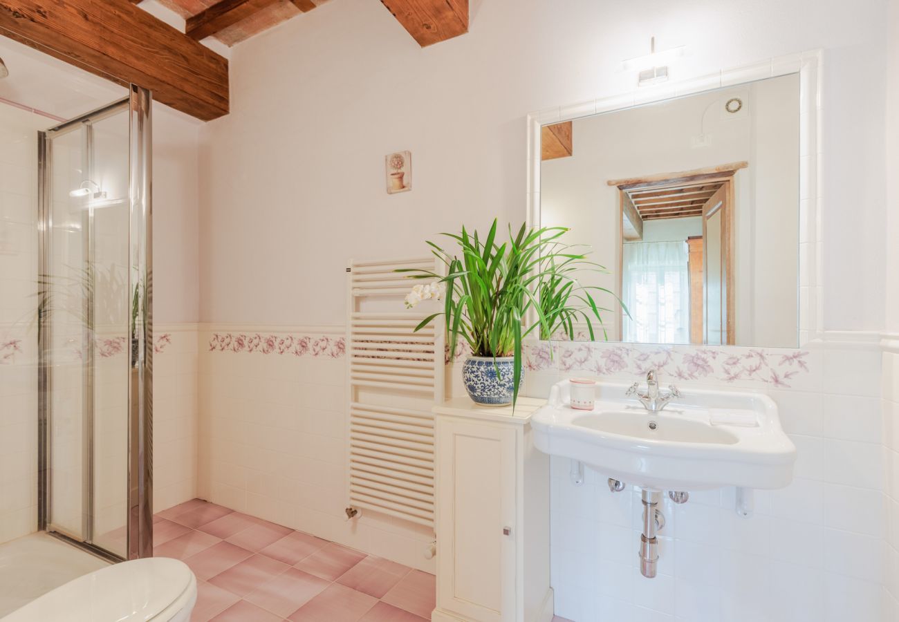Villa a Pieve di Compito - Dimora delle Camelie, a traditional stylish stone farmhouse with garden on the hills of Compitese between Lucca and Pisa