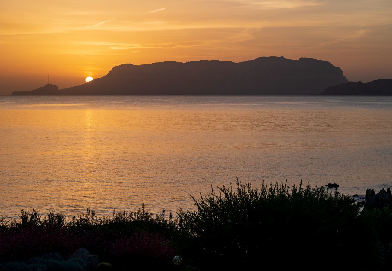Villa a Olbia - Villa Azul