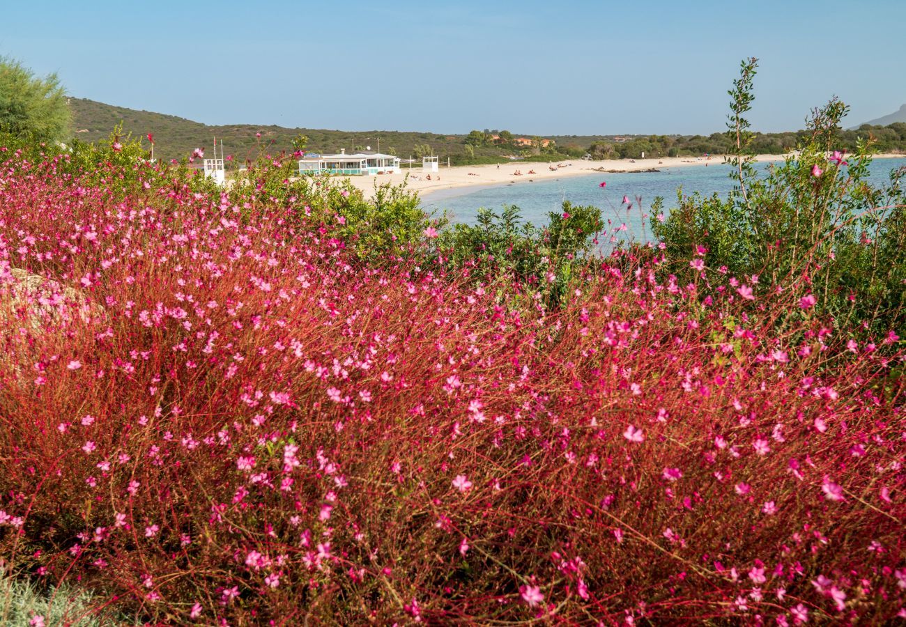 Villa a Olbia - Villa Azul by Klodge - contemporaneo pied dans l'eau con idromassaggio