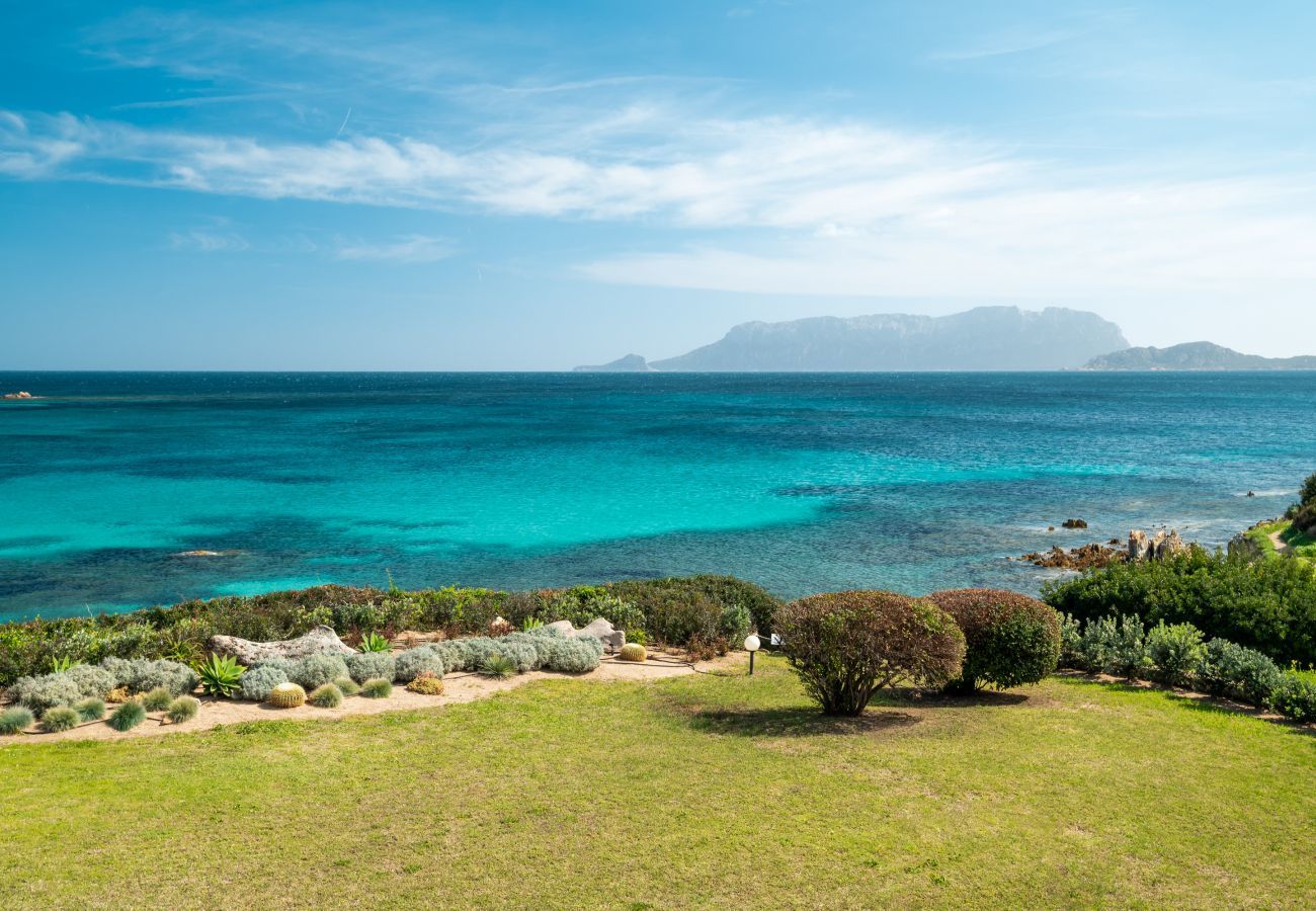Villa Azul - giardino con prato verde e vista mare in villa in affitto a Sardegna