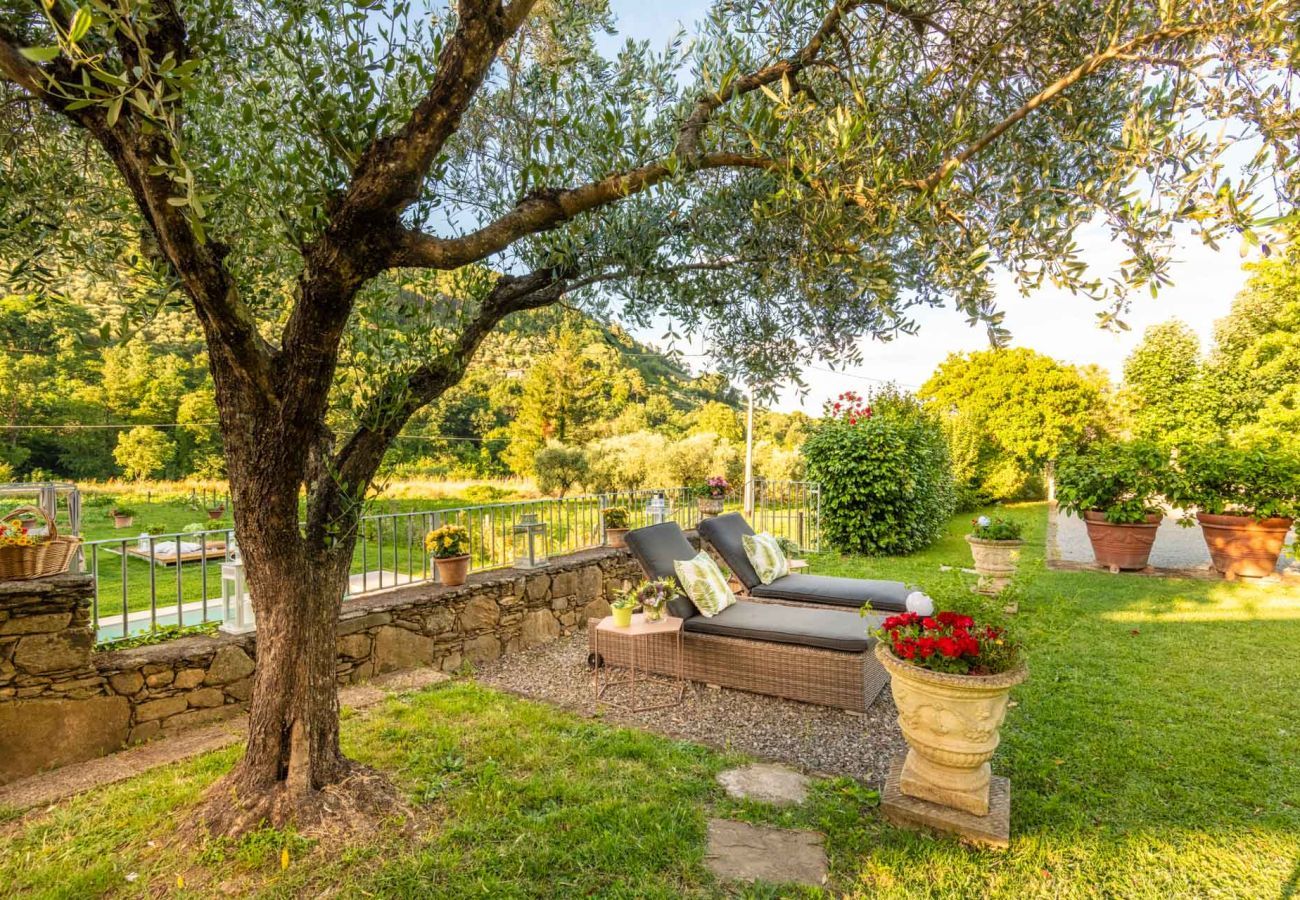 Villa a Capannori - Villa Ester