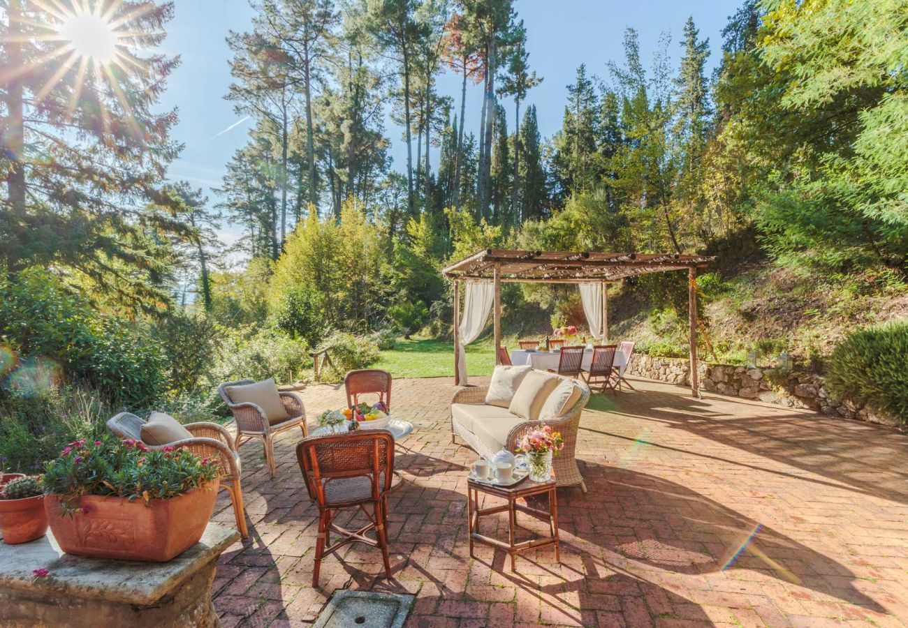 Villa a Camaiore - Villa Birdsong