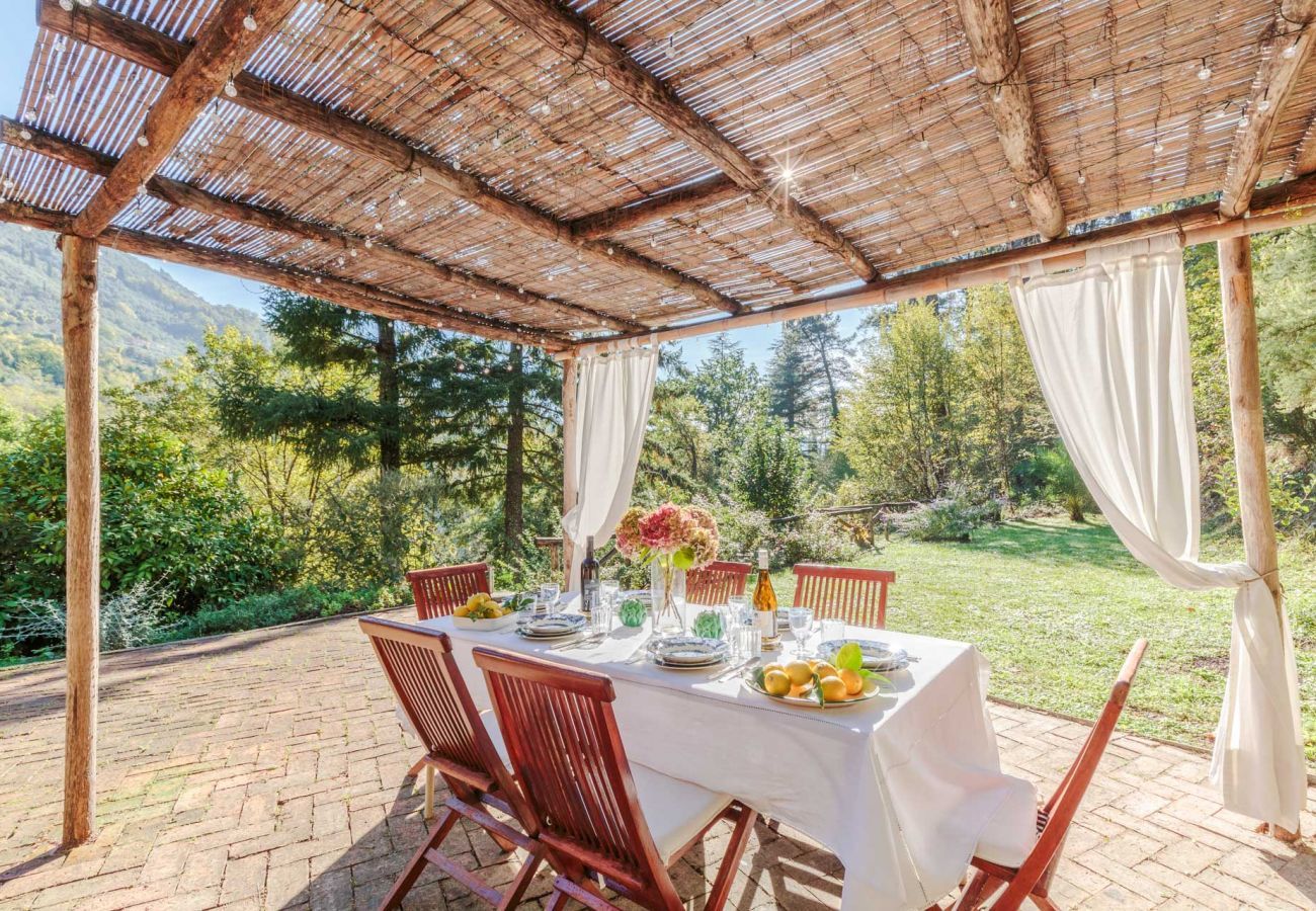 Villa a Camaiore - Villa Birdsong