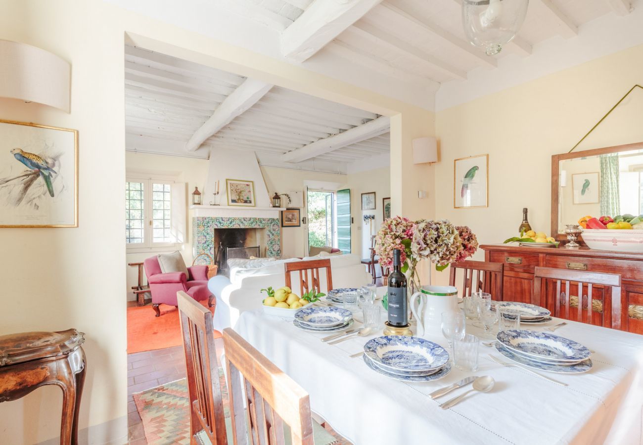 Villa a Camaiore - Villa Birdsong