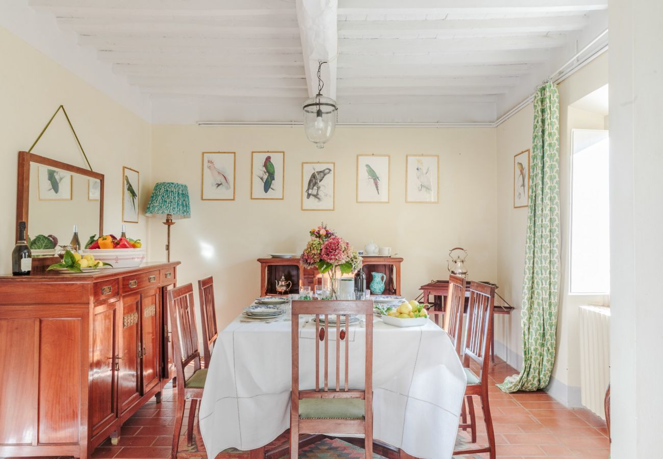 Villa a Camaiore - Villa Birdsong