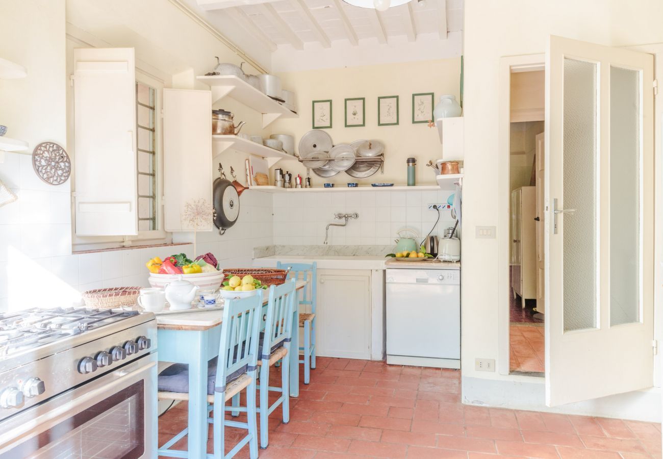 Villa a Camaiore - Villa Birdsong