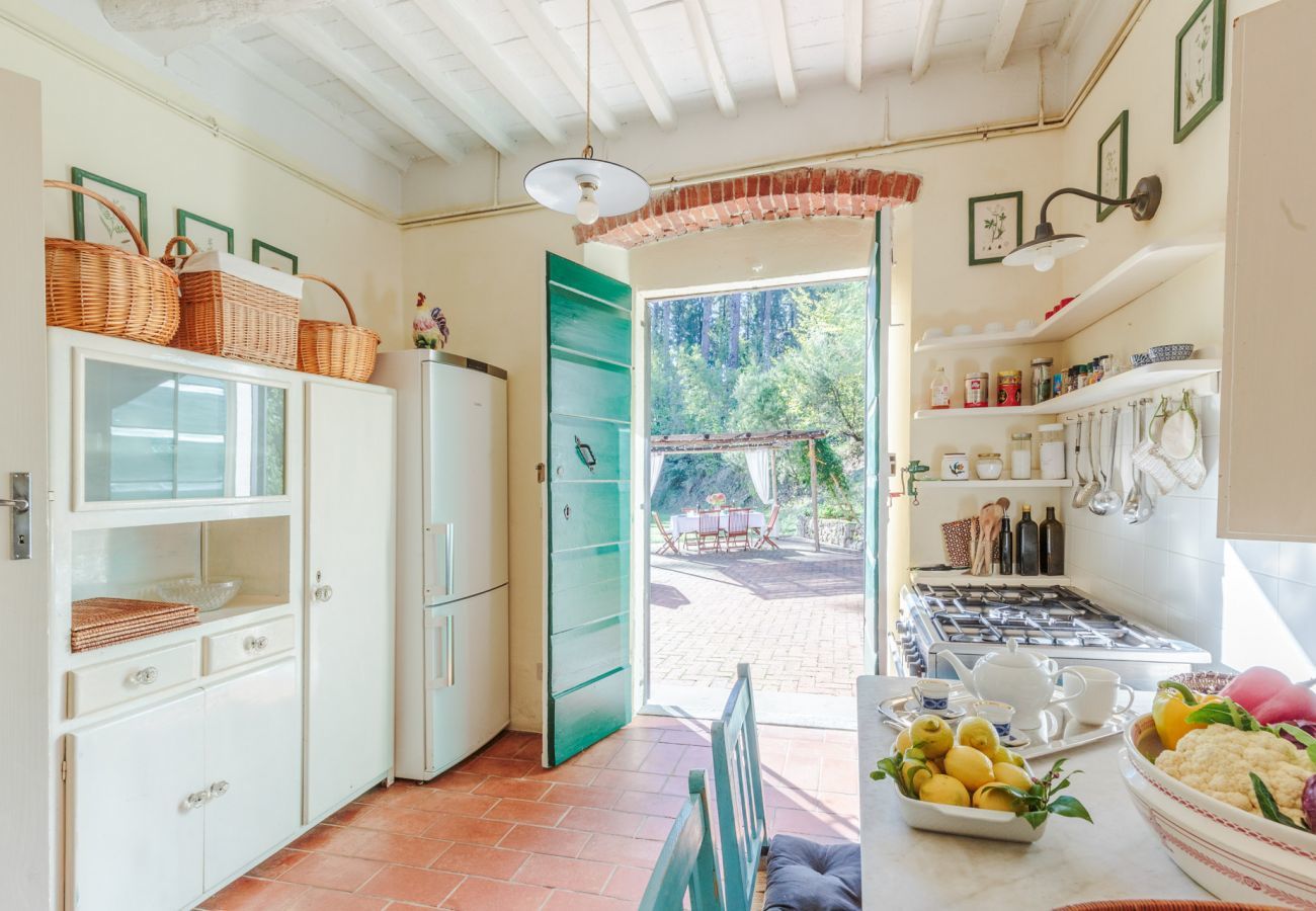 Villa a Camaiore - Villa Birdsong