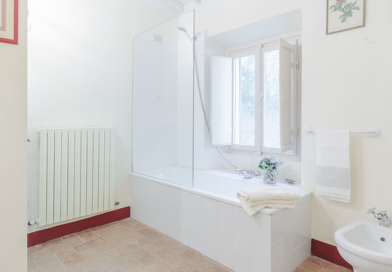 Villa a Camaiore - Villa Birdsong