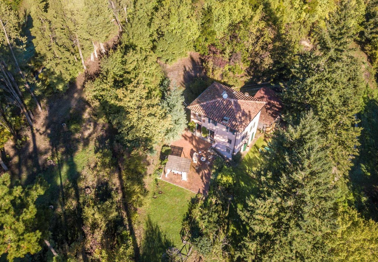 Villa a Camaiore - Villa Birdsong