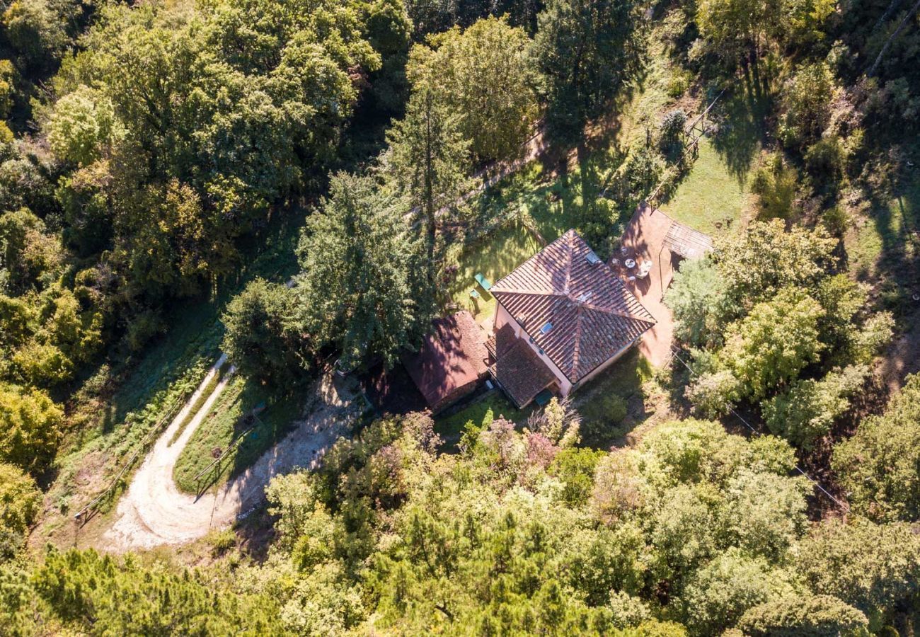 Villa a Camaiore - Villa Birdsong, among the Woods in Camaiore