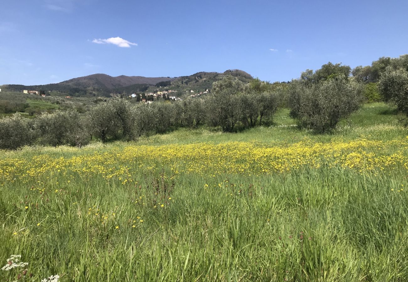 Appartamento a San Gennaro - Casa San Gennaro at Borghetto Farmhouse