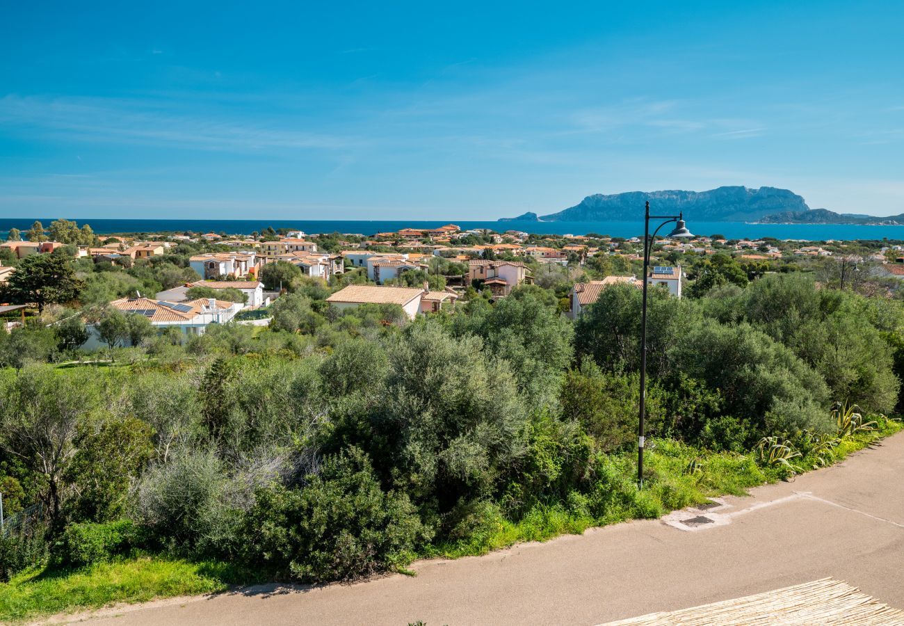 Appartamento a Olbia - Sea Shell 28