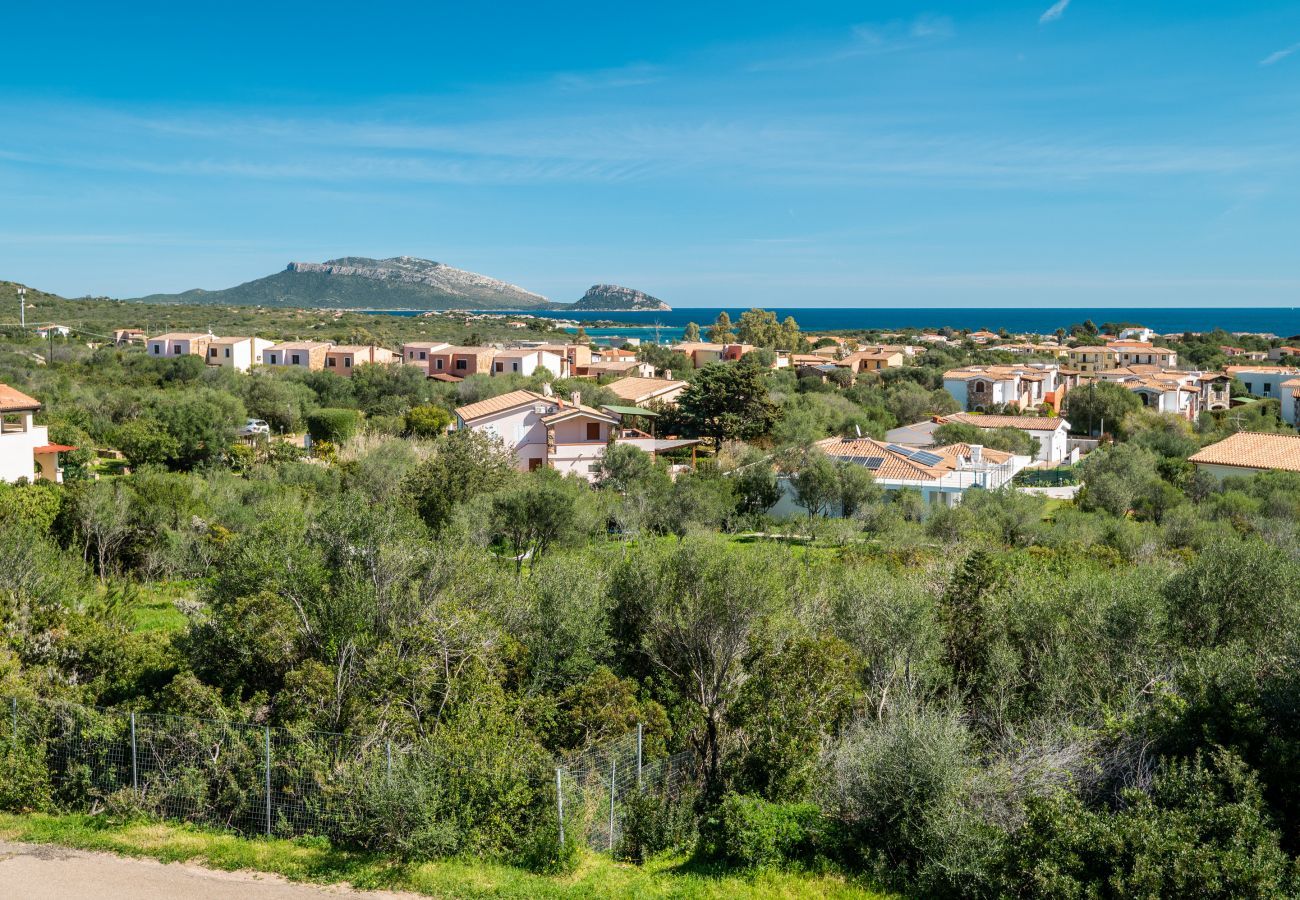 Appartamento a Olbia - Sea Shell 28