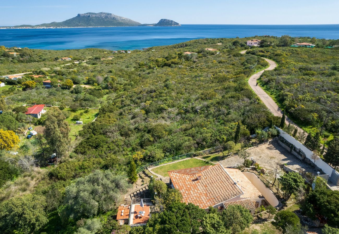 Villa a Golfo Aranci - Villa Picker - relax con vista sulla baia di Golfo Aranci