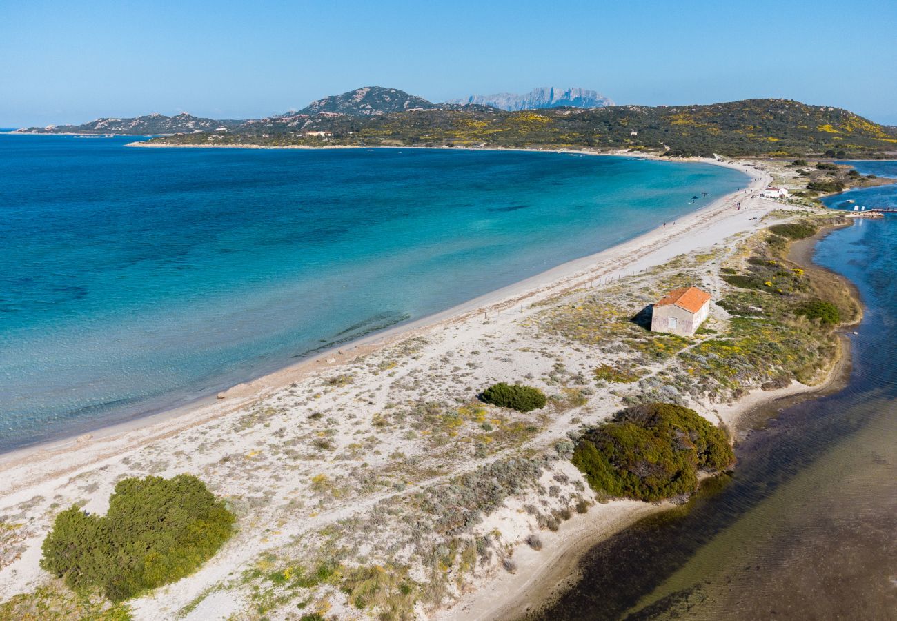 Appartamento a Olbia - Myrsine Oasi - moderno flat con piscina condivisa