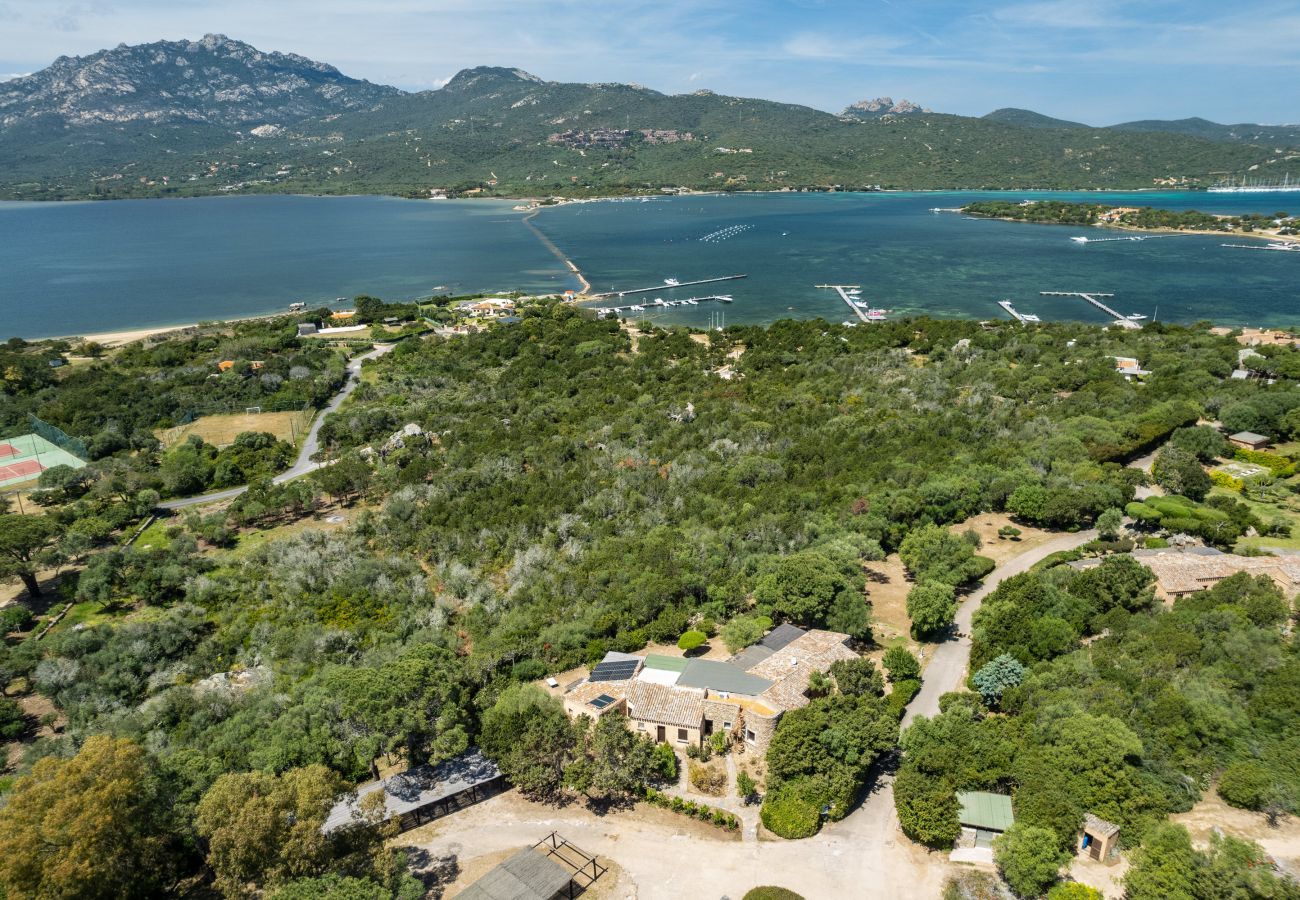 Appartamento a Porto Rotondo - Caletta Nest 53