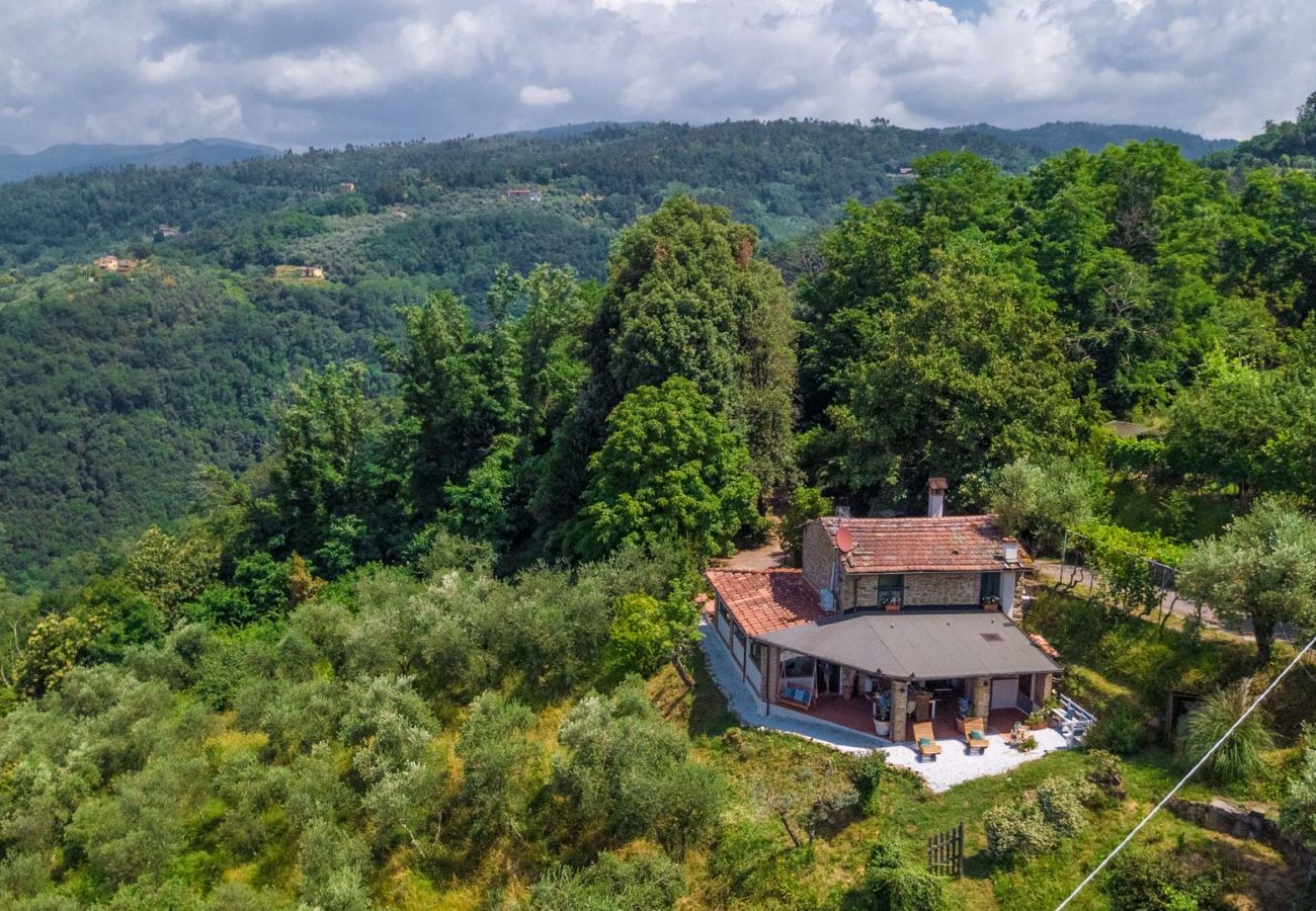 Villa a Pescia - Sospirata Farmhouse