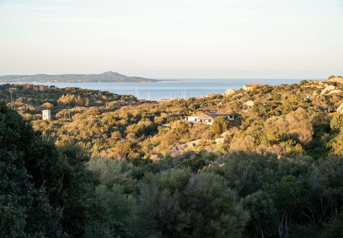 Appartamento a Porto Rotondo - I Lecci 1