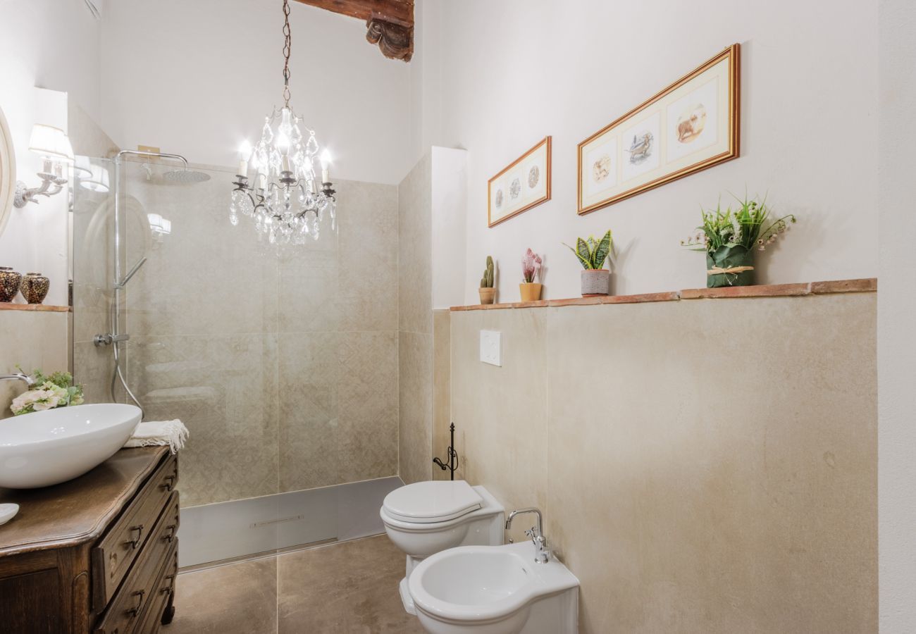 Appartamento a Lucca - Casa Celeste with Terrace